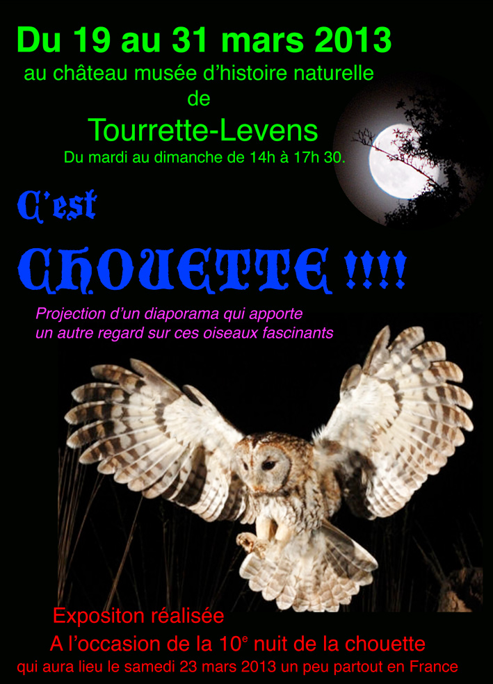 Chouette-Exposition_09-03-13