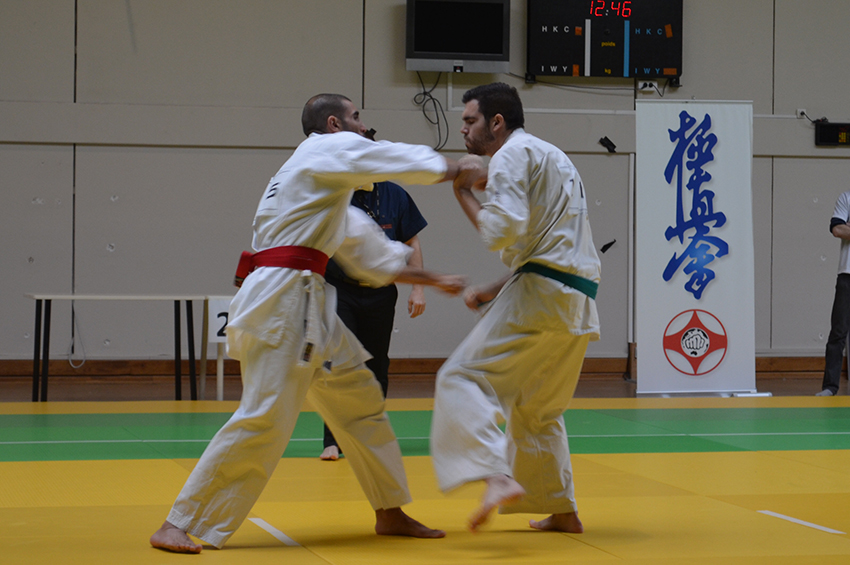 Karate-15-3-2015