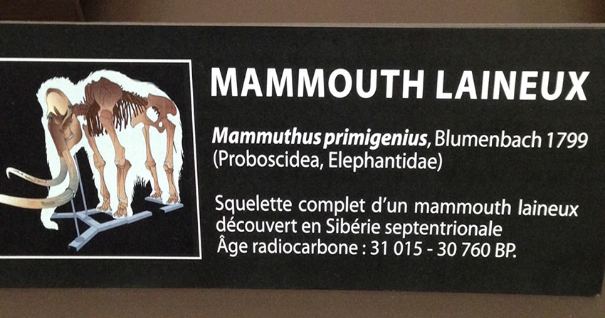 Au temps des mammouths laineux