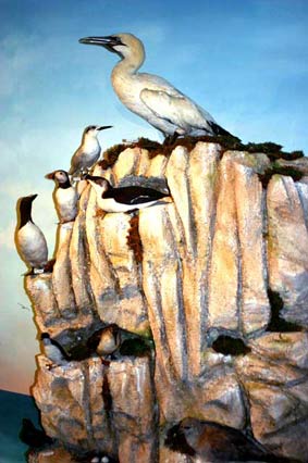 diorama